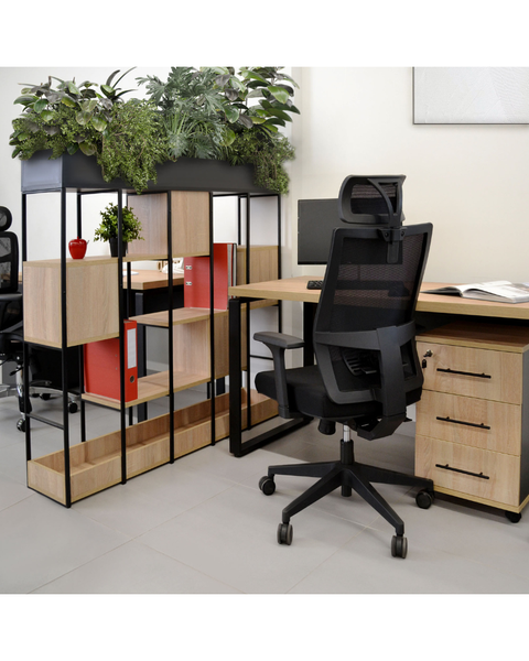 Casetiera Rollbox Sonoma/Anthracite 38614 - foto