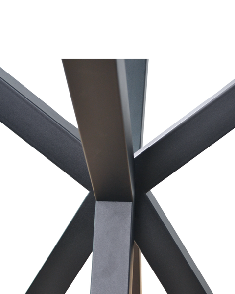 Cadru Kleo 900 RAL 9005 FTX 50107 - foto