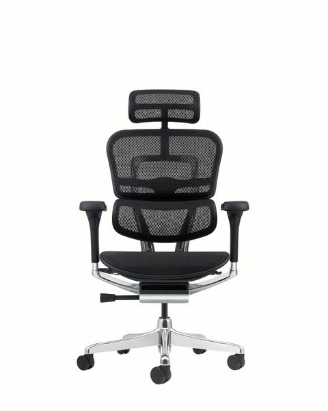 Fotoliu Ergohuman Elite 2 metal/plasă 43358 - foto