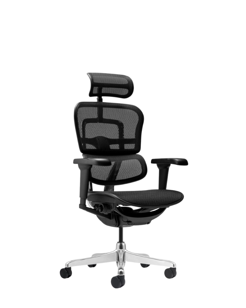 Кресло Ergohuman Ultra Black T-168 